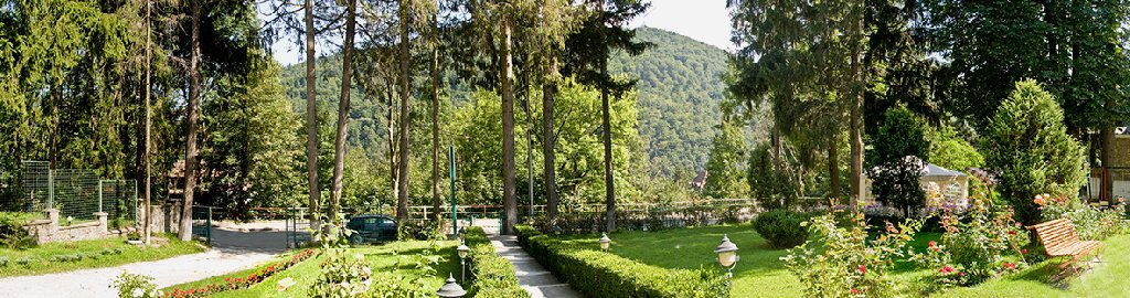 . Vila Camelia 