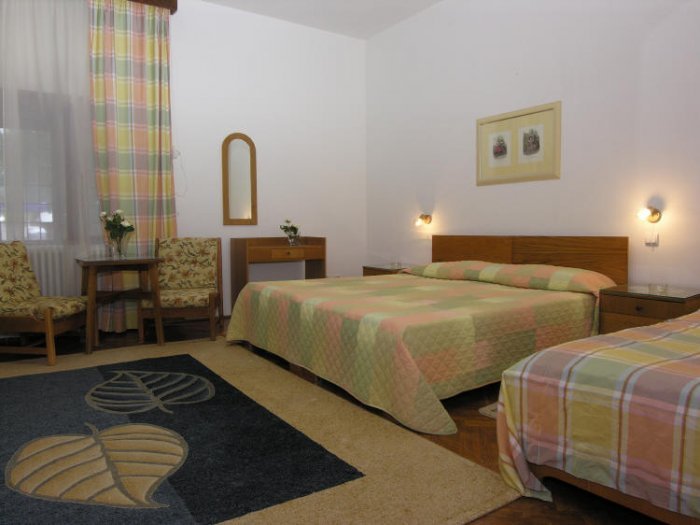 . Vila Camelia 