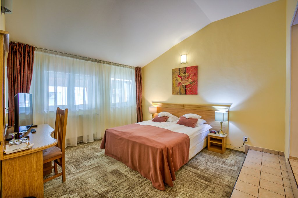 . Hotel Ambient