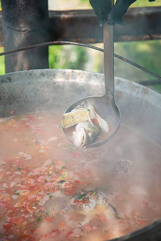 Paradise Delta House Cm