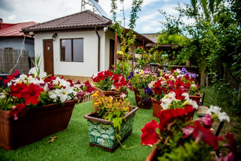 Casa de Vacanta Delta Ambient Mahmudia