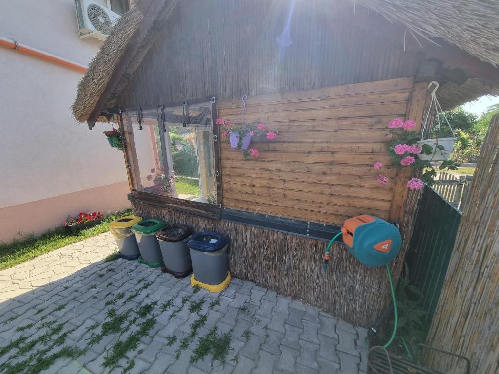 poza_41