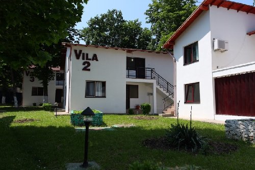 Liliacul